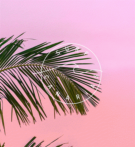 SurfCanarias comingsoon